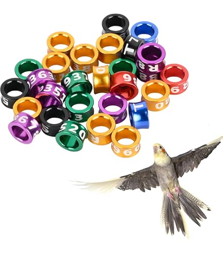 Amazon.com : FOIBURELY 80 pcs Numbered Bird Ring Leg Bands for